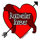 rottweiler forever