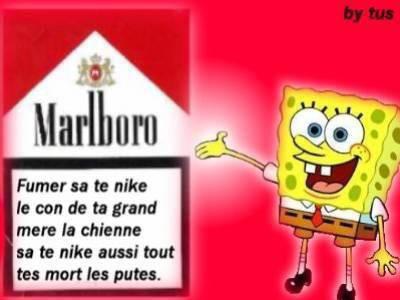 bob l eponge