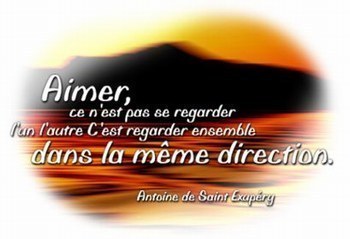 aimer c