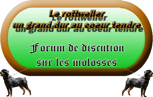 le rottweiler c